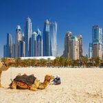 انوای ویزای امارات