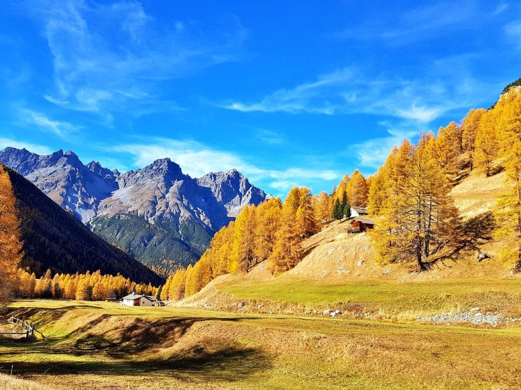 پارک ملی سوئیس