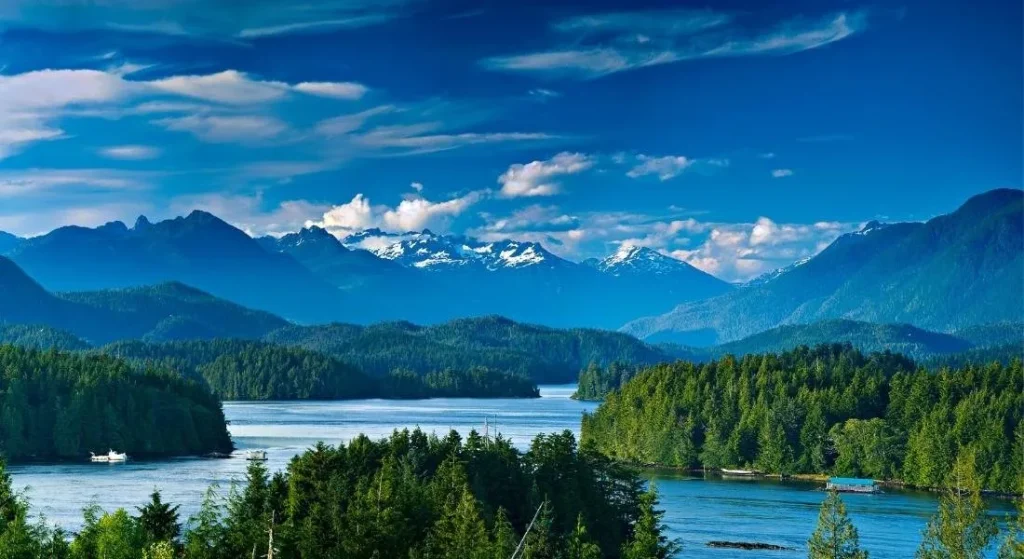 حفاظتگاه پارک ملی حاشیه اقیانوس آرام