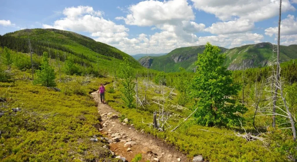 پارک ملی Grands-Jardins